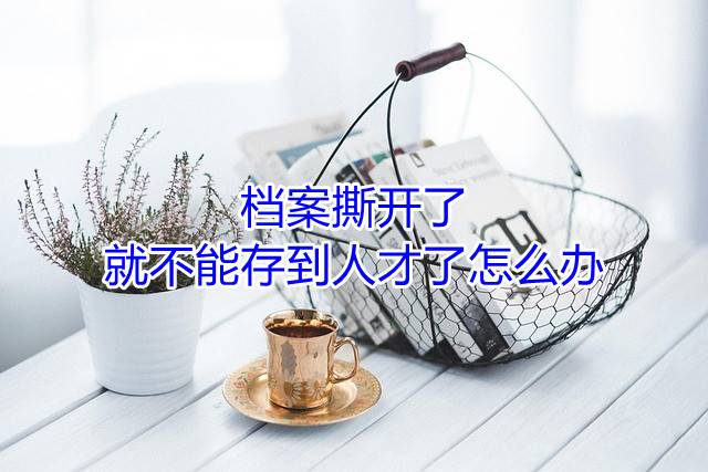 档案撕开了就不能存到人才了怎么办