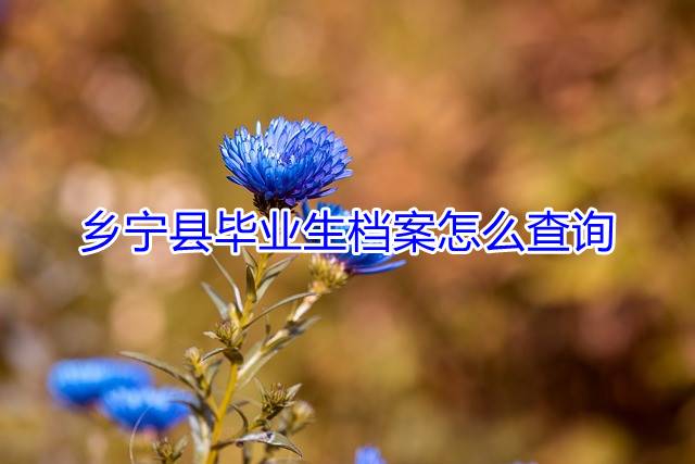 乡宁县毕业生档案怎么查询