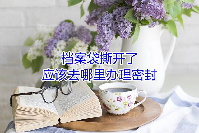 档案袋撕开了应该去哪里办理密封