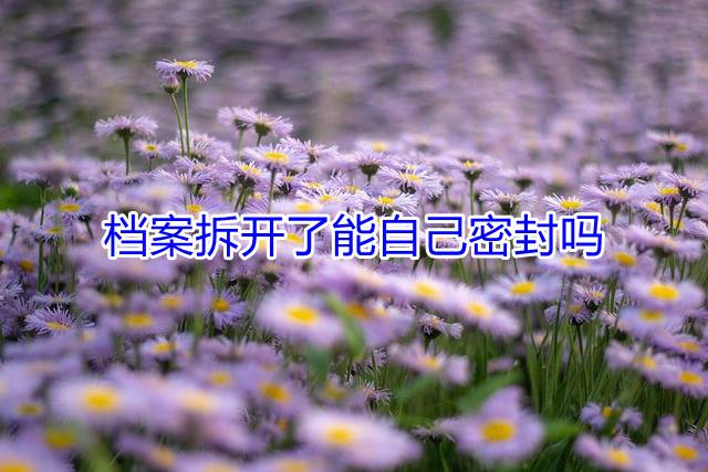 档案拆开了能自己密封吗