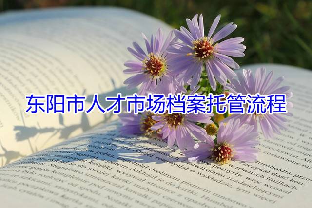 东阳市人才市场档案托管流程