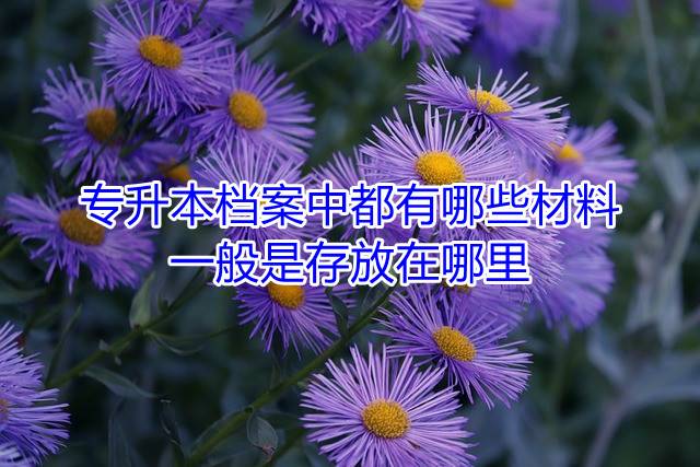 专升本档案中都有哪些材料，一般是存放在哪里