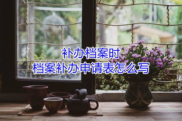 补办档案时，档案补办申请表怎么写