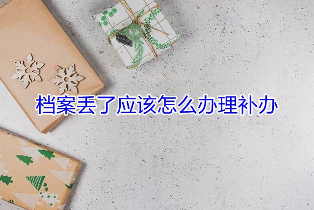 档案丢了应该怎么办理补办