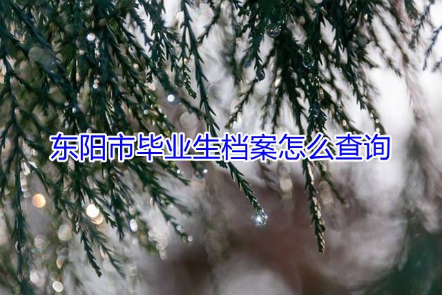 东阳市毕业生档案怎么查询