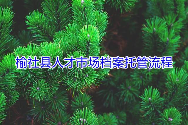 榆社县人才市场档案托管流程