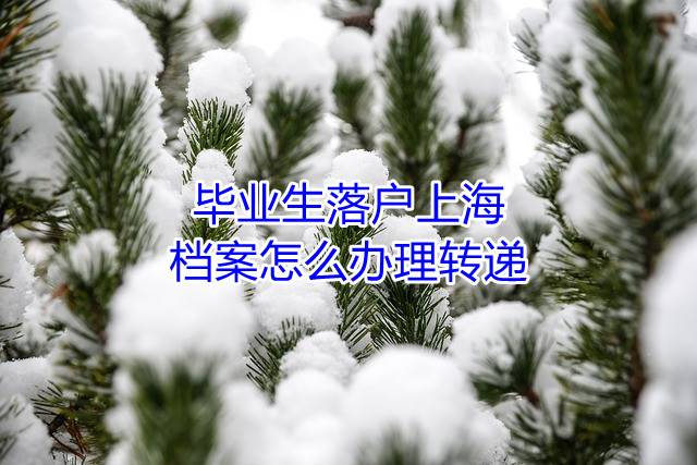毕业生落户上海，档案怎么办理转递