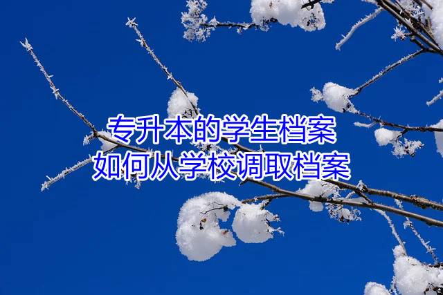 专升本的学生档案如何从学校调取档案