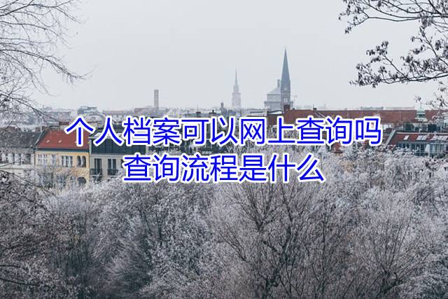 个人档案可以网上查询吗，查询流程是什么