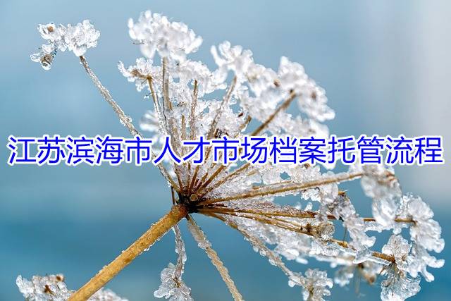 江苏滨海市人才市场档案托管流程