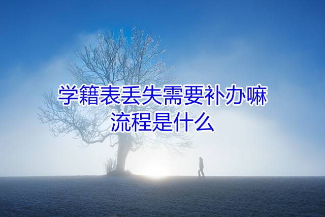 学籍表丢失需要补办嘛，流程是什么