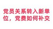 党员关系转入新单位之前未按时缴纳党费如何补交