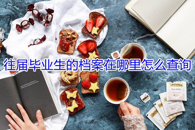往届毕业生的档案在哪里怎么查询