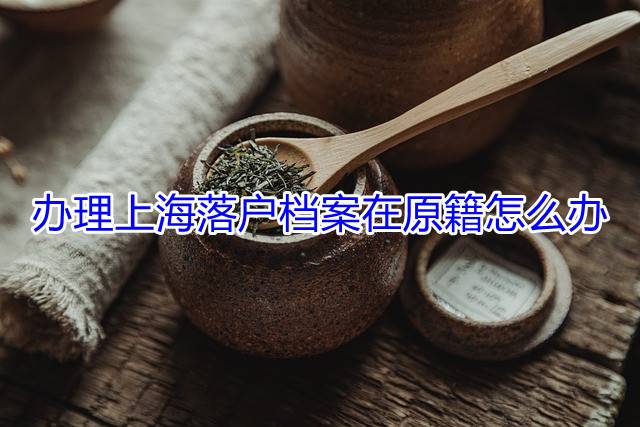 办理上海落户档案在原籍怎么办