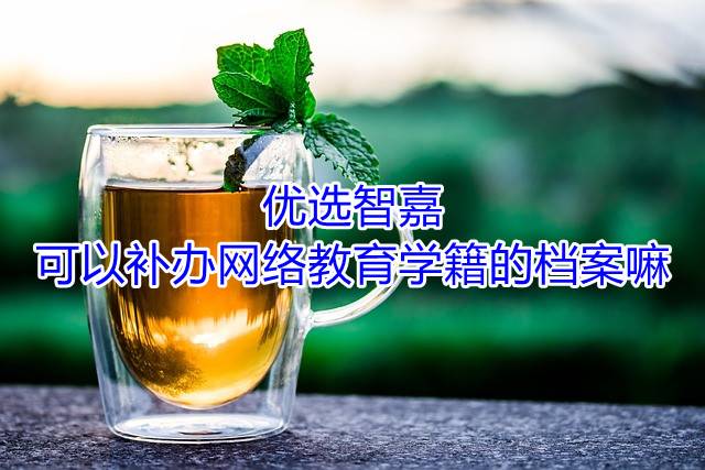 优选智嘉可以补办网络教育学籍的档案嘛