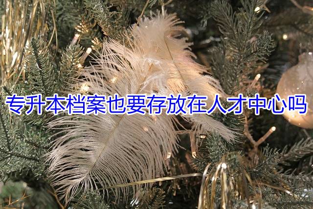 专升本档案也要存放在人才中心吗
