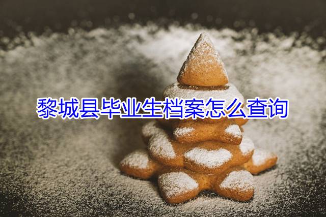 黎城县毕业生档案怎么查询
