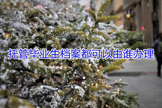 托管毕业生档案都可以由谁办理