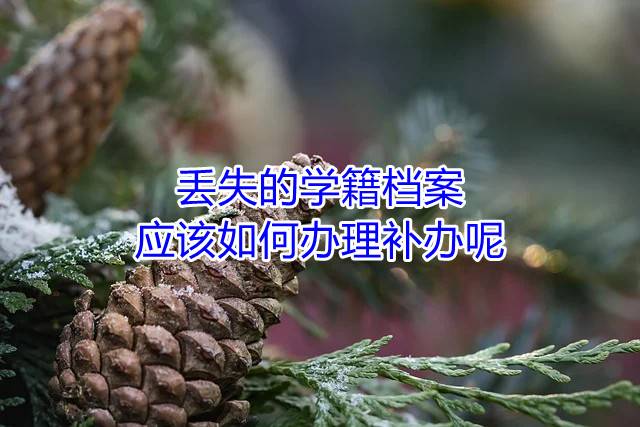 丢失的学籍档案应该如何办理补办呢