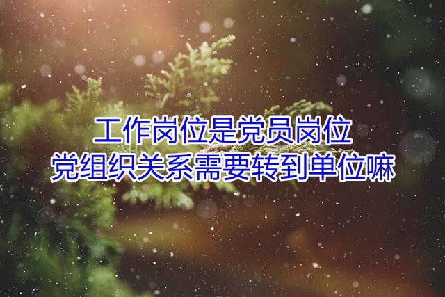 工作岗位是党员岗位，党组织关系需要转到单位嘛
