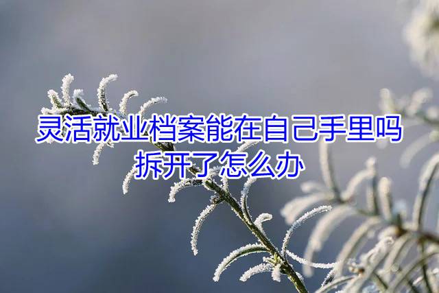灵活就业档案能在自己手里吗，拆开了怎么办