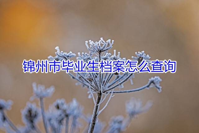 锦州市毕业生档案怎么查询