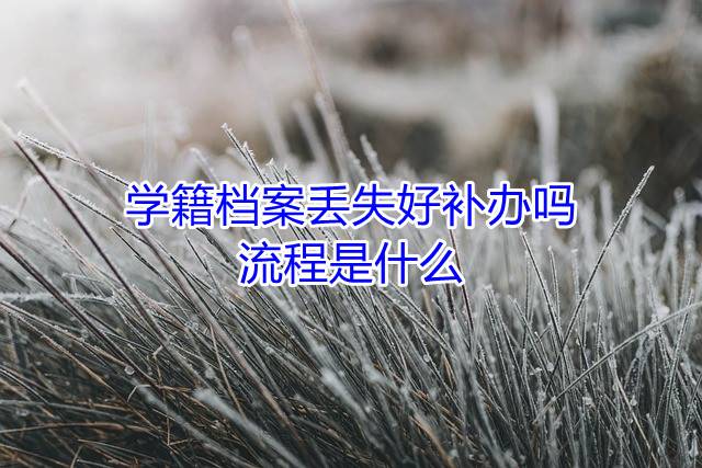 学籍档案丢失好补办吗，流程是什么