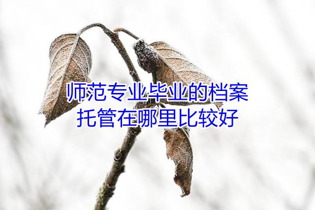 师范专业毕业的档案托管在哪里比较好