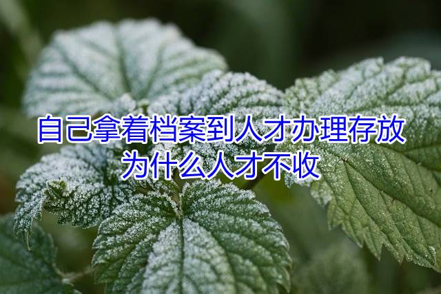 自己拿着档案到人才办理存放。为什么人才不收