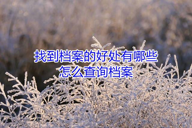 找到档案的好处有哪些，怎么查询档案