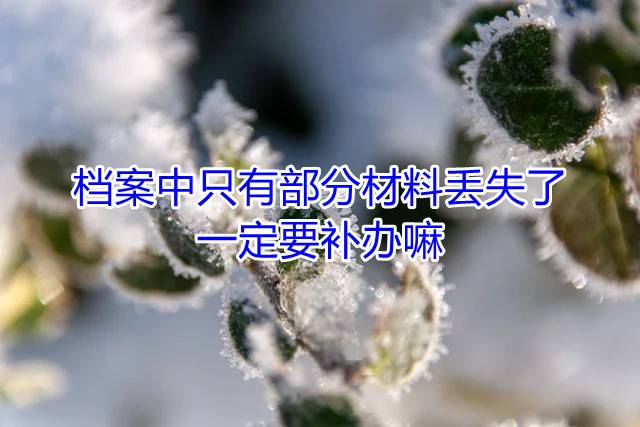 档案中只有部分材料丢失了，一定要补办嘛