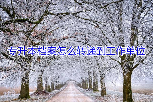 专升本档案怎么转递到工作单位