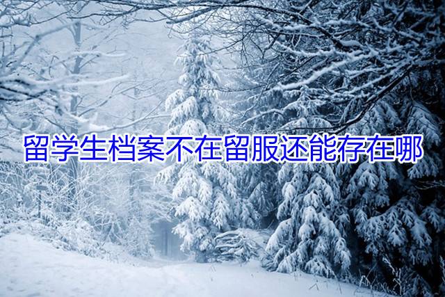 留学生档案不在留服还能存在哪