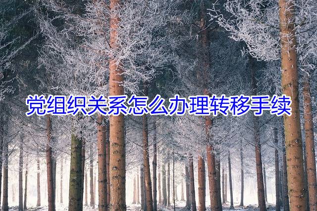党组织关系怎么办理转移手续