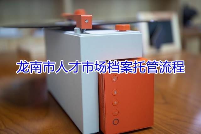 龙南市人才市场档案托管流程