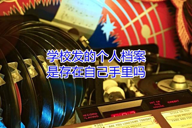 学校发的个人档案是存在自己手里吗
