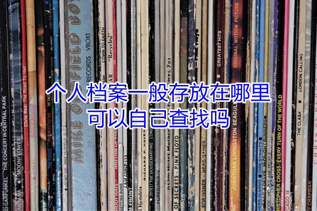 个人档案一般存放在哪里，可以自己查找吗