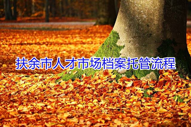 扶余市人才市场档案托管流程