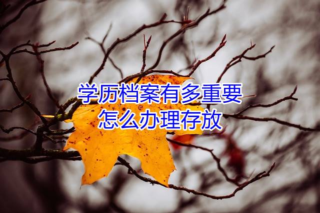 学历档案有多重要，怎么办理存放