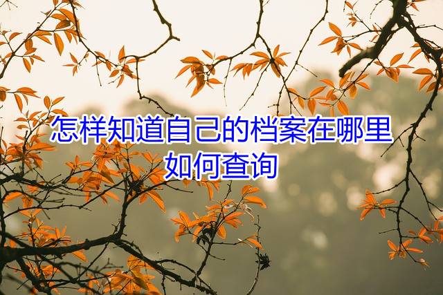 怎样知道自己的档案在哪里，如何查询