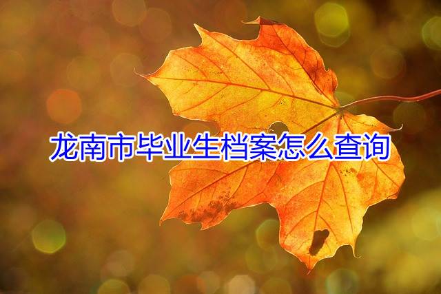 龙南市毕业生档案怎么查询