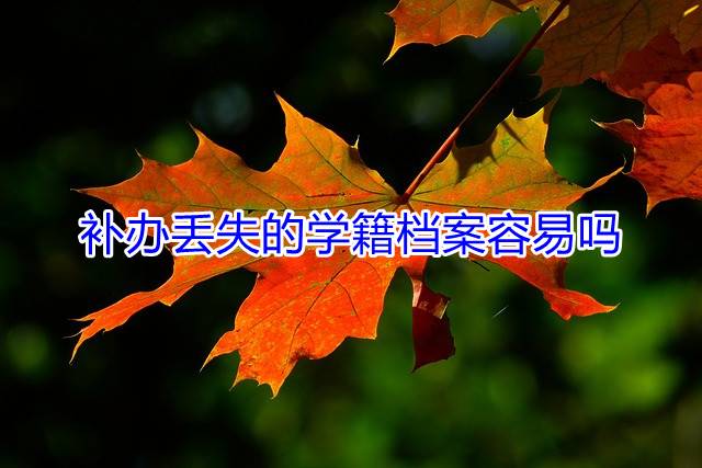 补办丢失的学籍档案容易吗