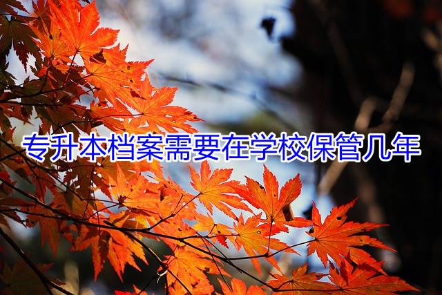专升本档案需要在学校保管几年