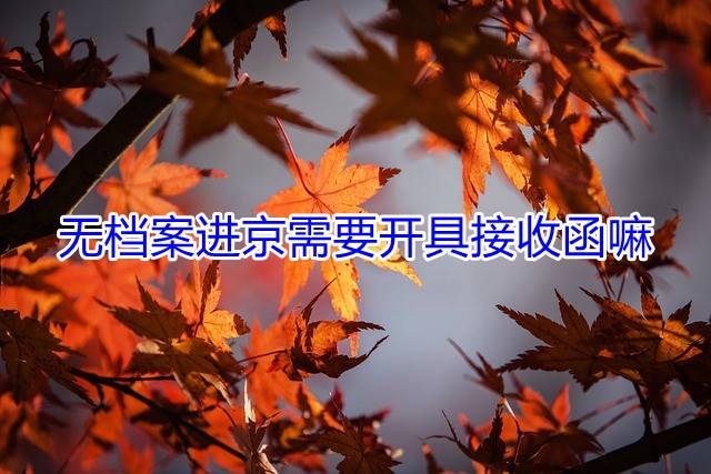 无档案进京需要开具接收函嘛