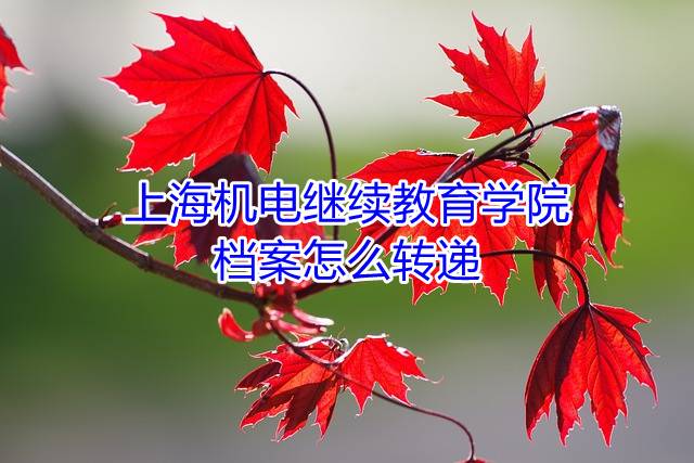 上海机电继续教育学院档案怎么转递
