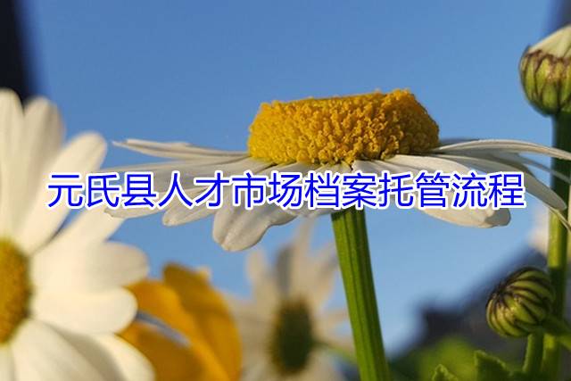 元氏县人才市场档案托管流程