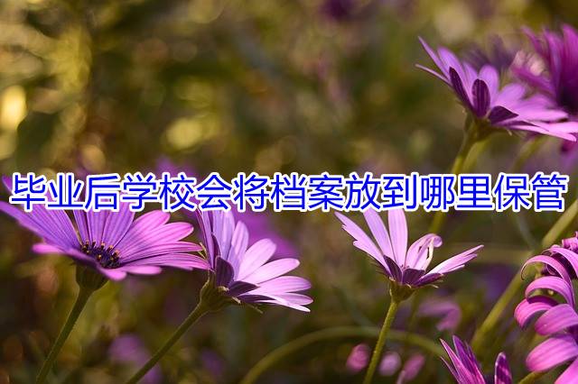 毕业后学校会将档案放到哪里保管