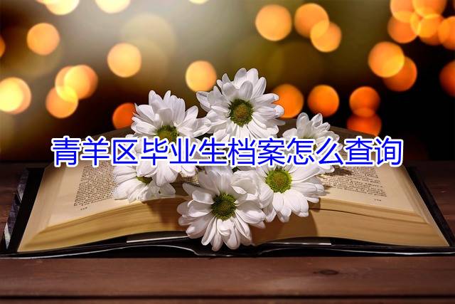 青羊区毕业生档案怎么查询