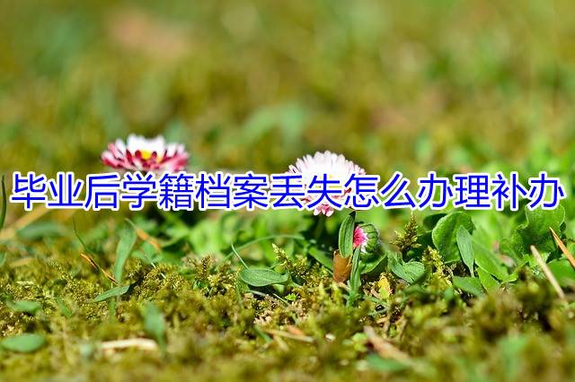 毕业后学籍档案丢失怎么办理补办