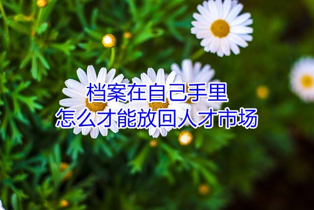 档案在自己手里怎么才能放回人才市场